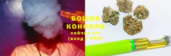 spice Елизово