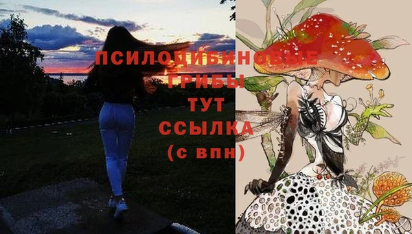 каннабис Зерноград