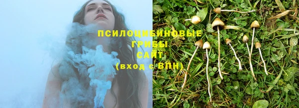 ешки Елабуга