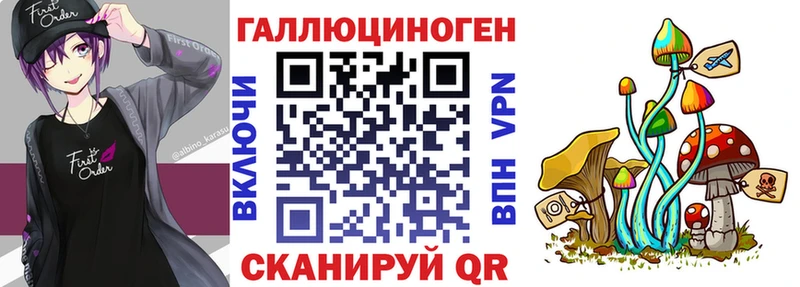 Галлюциногенные грибы Psilocybine cubensis  это наркотические препараты  Новая Усмань  как найти закладки 