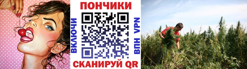 площадка наркотические препараты  Новая Усмань  Бошки Шишки гибрид 